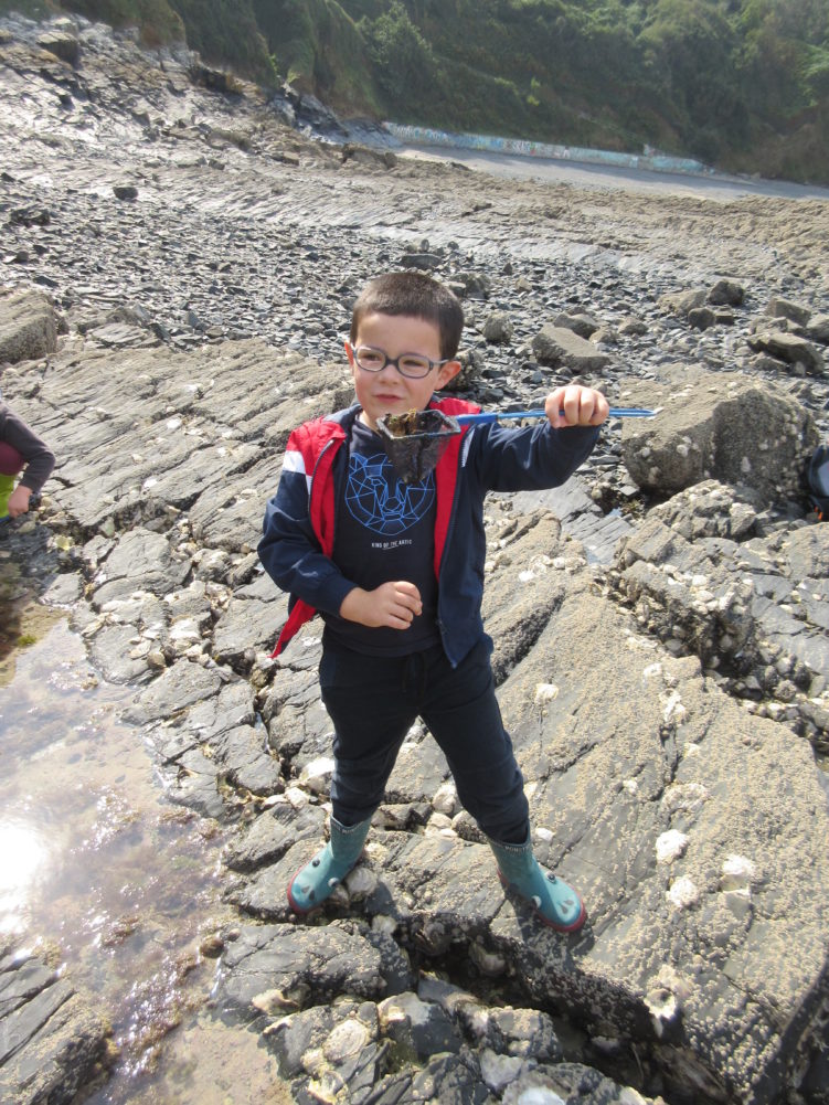 La pêche à pied pour les petites, moyennes et grandes sections.